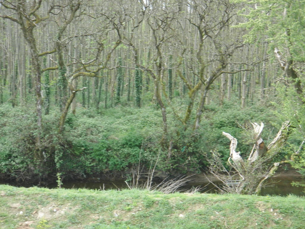 Woodlands House Farranfore