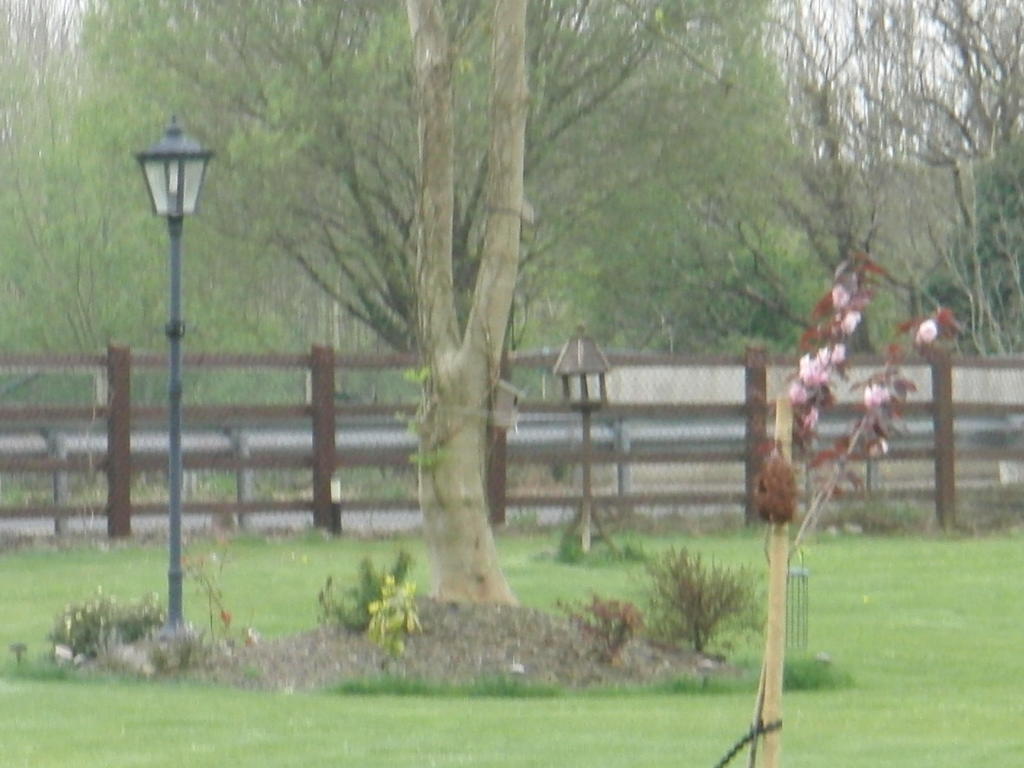 Woodlands House