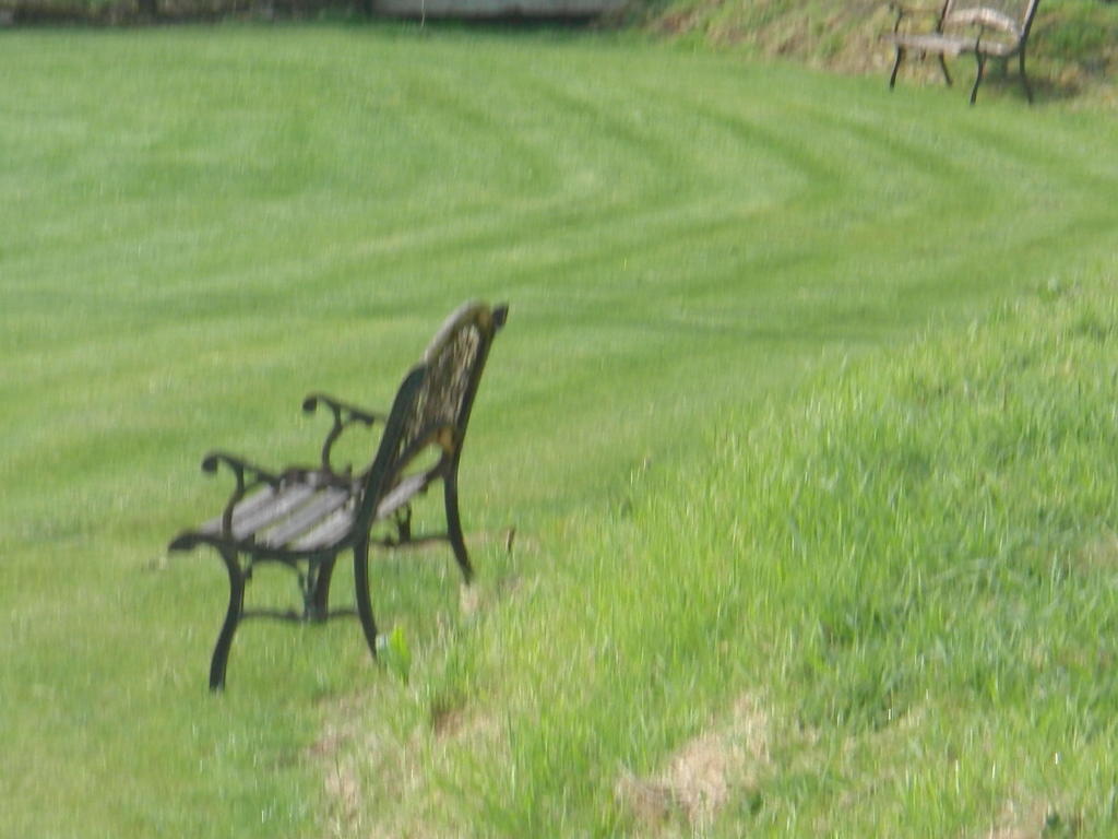 Bed & Breakfast Woodlands House Farranfore
